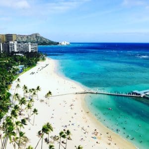 A beach with colorful blue water and palm trees.