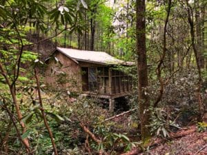 a delapitated cabin in the woods