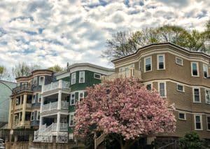 3 stories homes with a flowering tree outside the 1st home