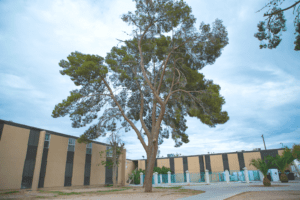 Our 160-unit Multifamily property